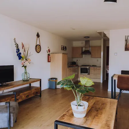 Feriehus Holiday De Meerparel-4 *